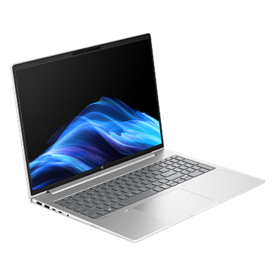 Laptop HP NB ProBook 4 G1ah / Ryzen 5 220 / 16GB DDR5 / 512GB / 16" WUXGA IPS AG / AMD Radeon 740M - Pike Silver