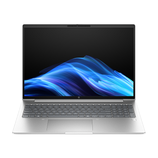 Laptop HP NB ProBook 4 G1ah / Ryzen 5 220 / 16GB DDR5 / 512GB / 16" WUXGA IPS AG / AMD Radeon 740M - Pike Silver - Figura 2
