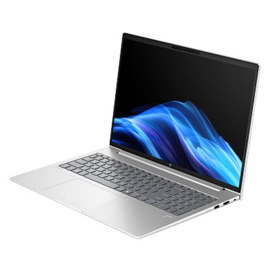 Laptop HP NB ProBook 4 G1ah / Ryzen 5 220 / 16GB DDR5 / 512GB / 16" WUXGA IPS AG / AMD Radeon 740M - Pike Silver - Figura 3