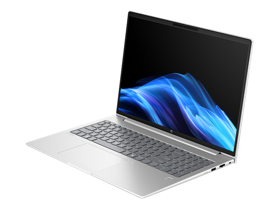 Laptop HP NB ProBook 4 G1i / Ultra 7 255U / 16GB DDR5 / 1TB / 16" WUXGA IPS AG / Intel Graphics - Pike silver aluminum - Figura 2