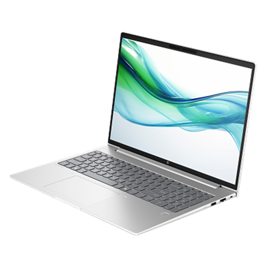 Laptop HP NB ProBook 460 G11 / Ultra 5-125U / 16GB DDR5 / 512GB / 16” WUXGA IPS AG / Intel Graphics - Pike Silver - Figura 3