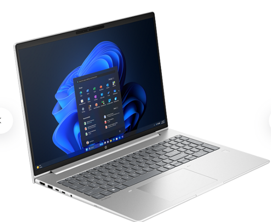Laptop HP NB ProBook 4 G1ah / Ryzen 5 220 / 16GB DDR5 / 1TB / 16" WUXGA IPS AG / AMD Radeon 740M - Pike Silver - Figura 2