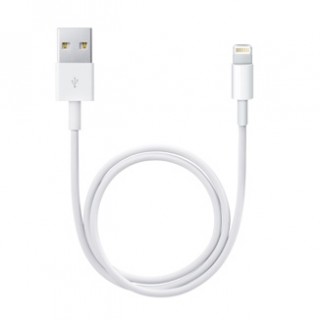 Apple Lightning → USB Cable 0.5m – Bulk - Figura 2