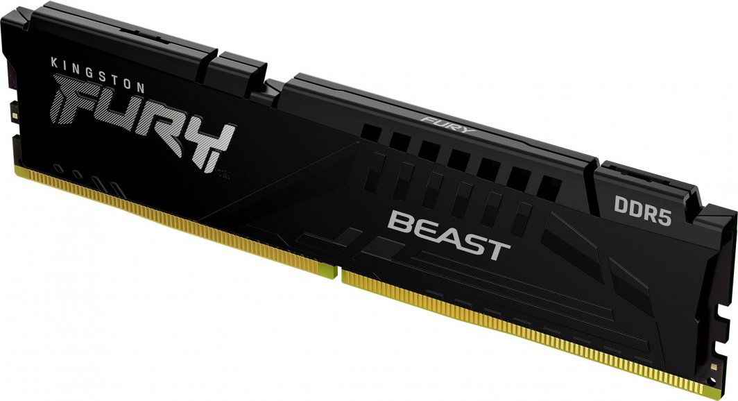 RAM Memorie Kingston FURY Beast DDR5-5600 CL36 / 8GB DIMM / EXPO - Zezë - Figura 2