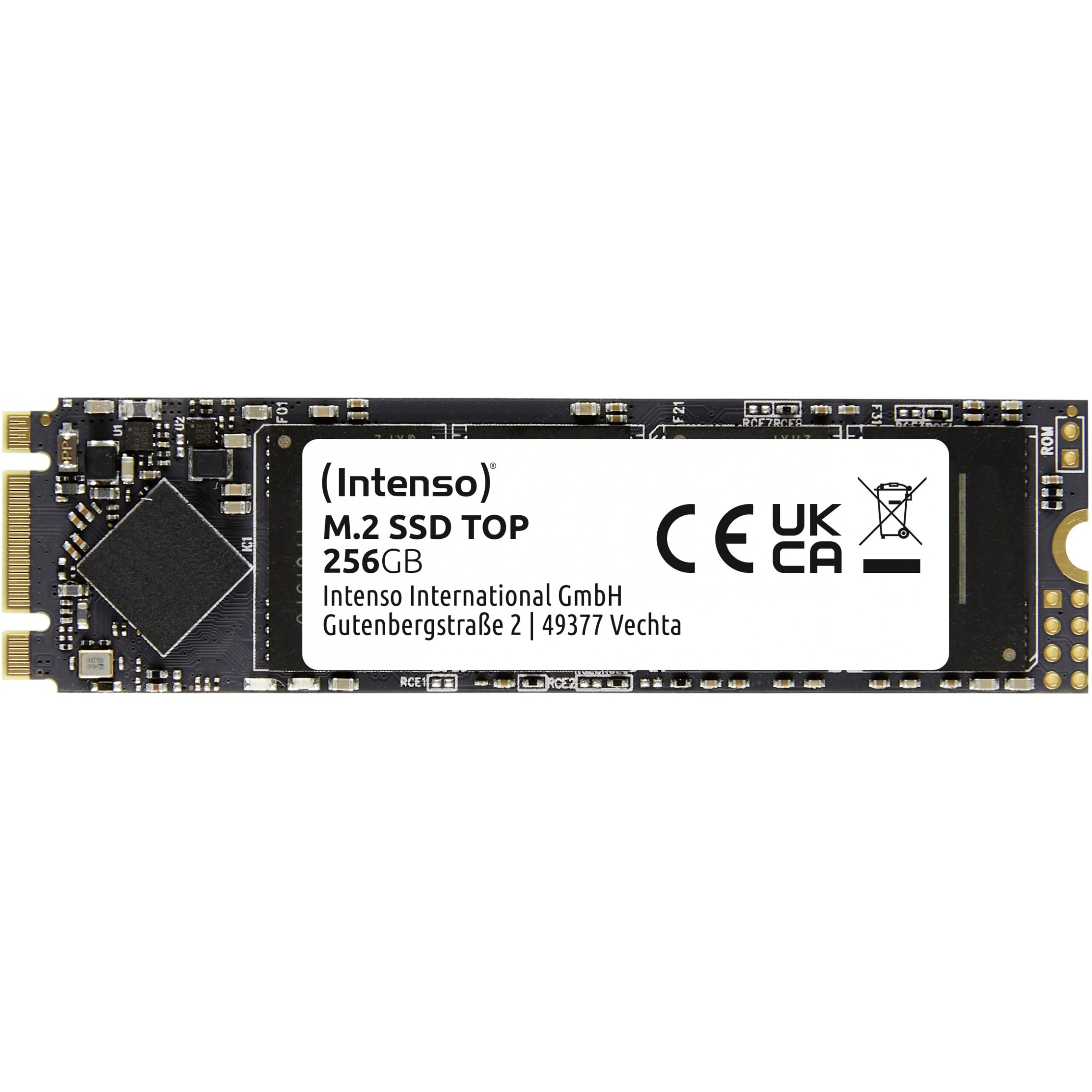SSD e brendshme M.2 256GB Intenso Top Performance - Figura 3