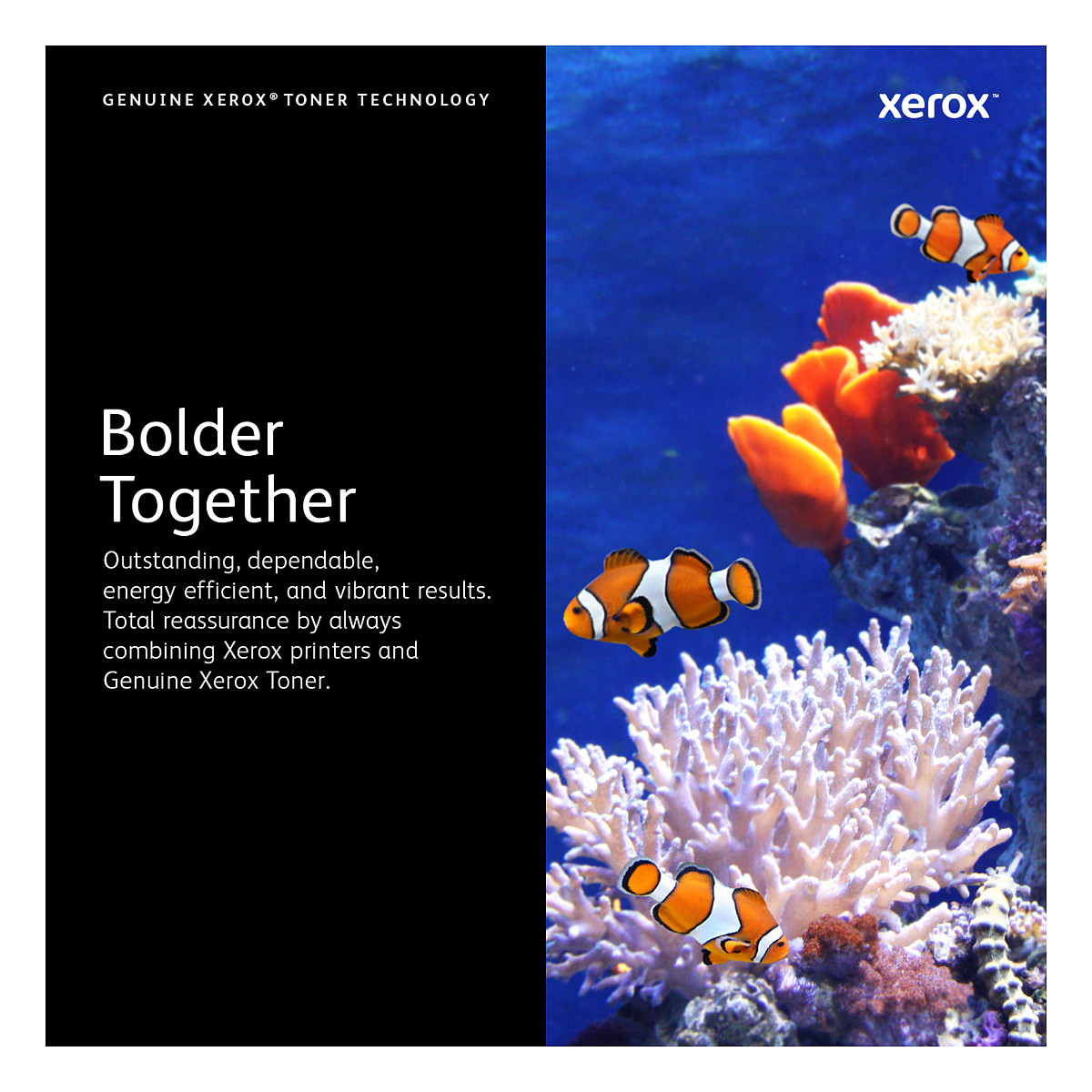Toner XEROX 6020 / 106R02757 - Rozë - Figura 3