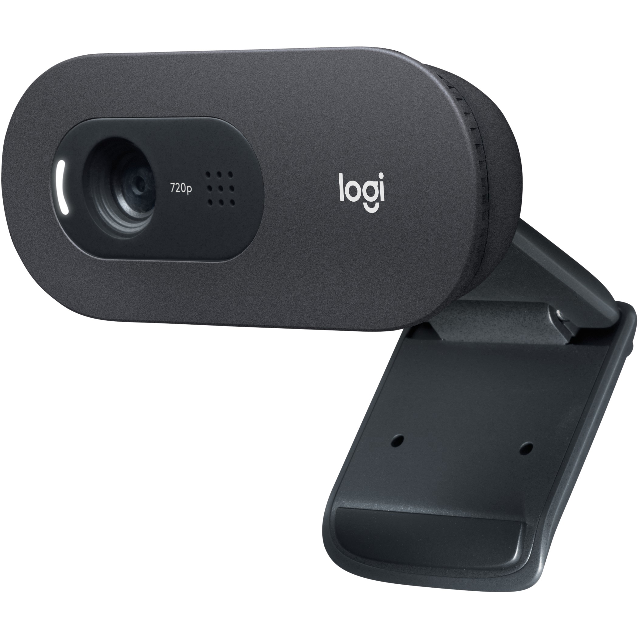Webcam Logitech C505 1280x720 30 fps 60° / Gri