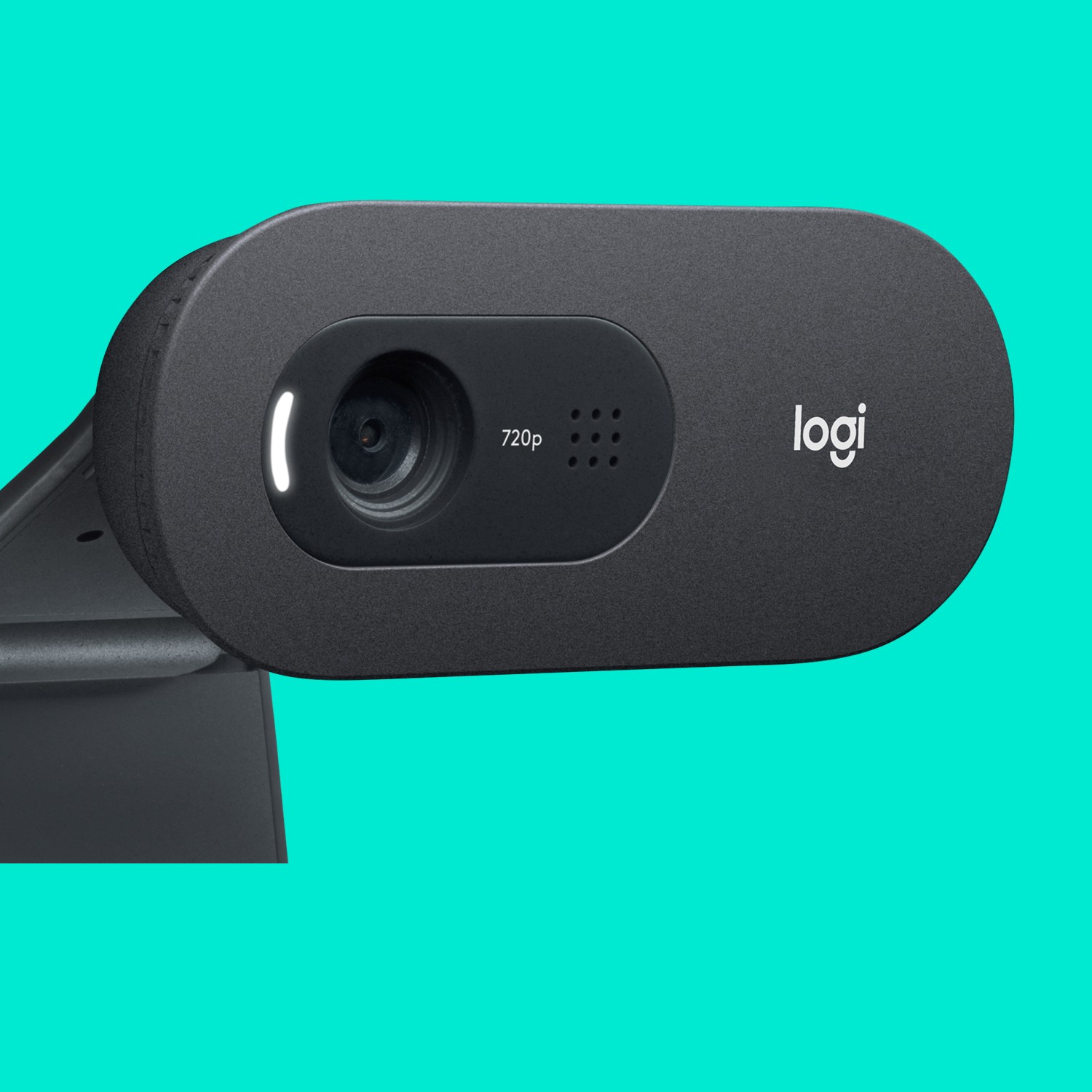 Webcam Logitech C505 1280x720 30 fps 60° / Gri - Figura 2