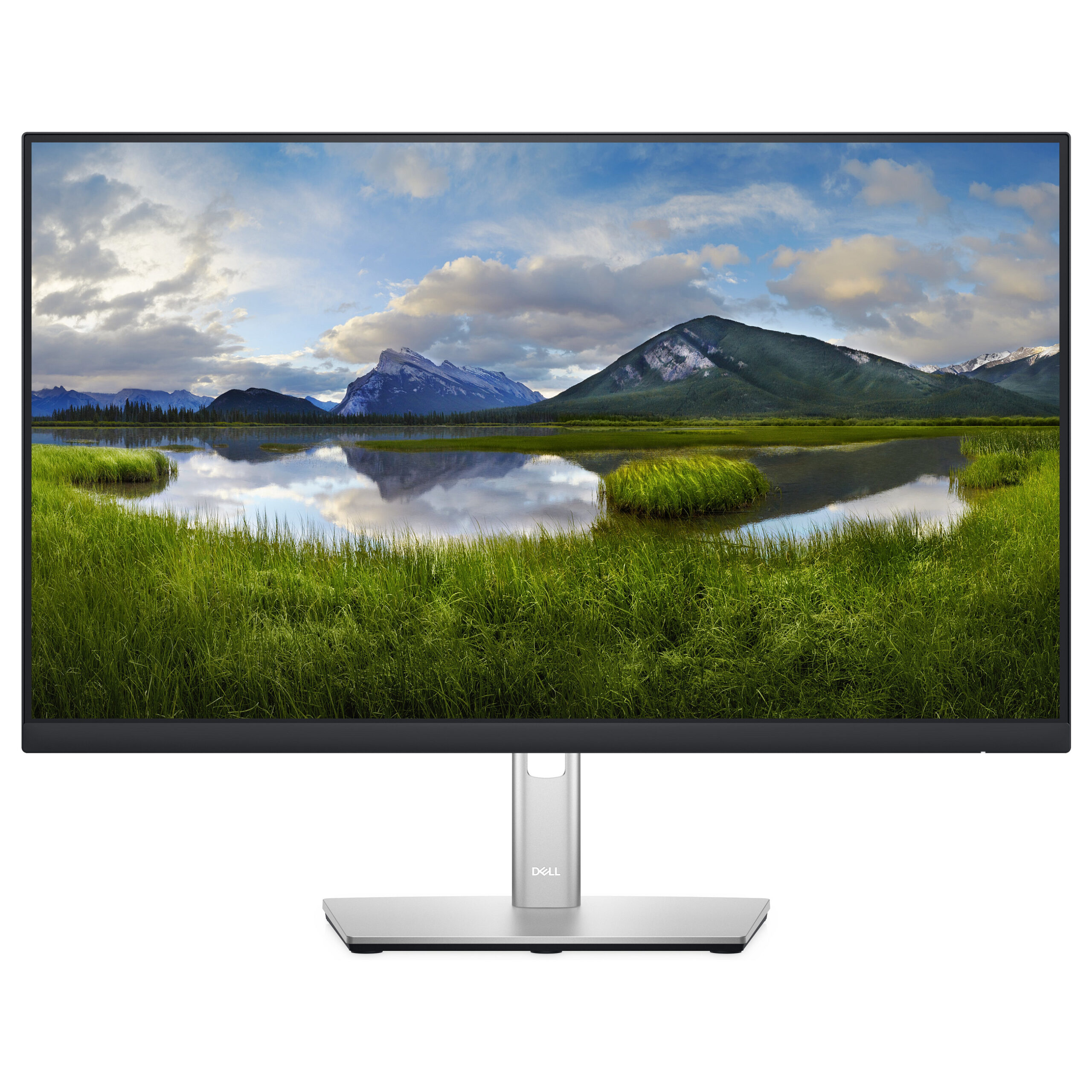 Monitor DELL-P2422H / 23.8" / Full HD IPS / LCD / 60 Hz / 8 ms / HDMI+USB+DP+VGA+HDCP - Zezë/Argjend