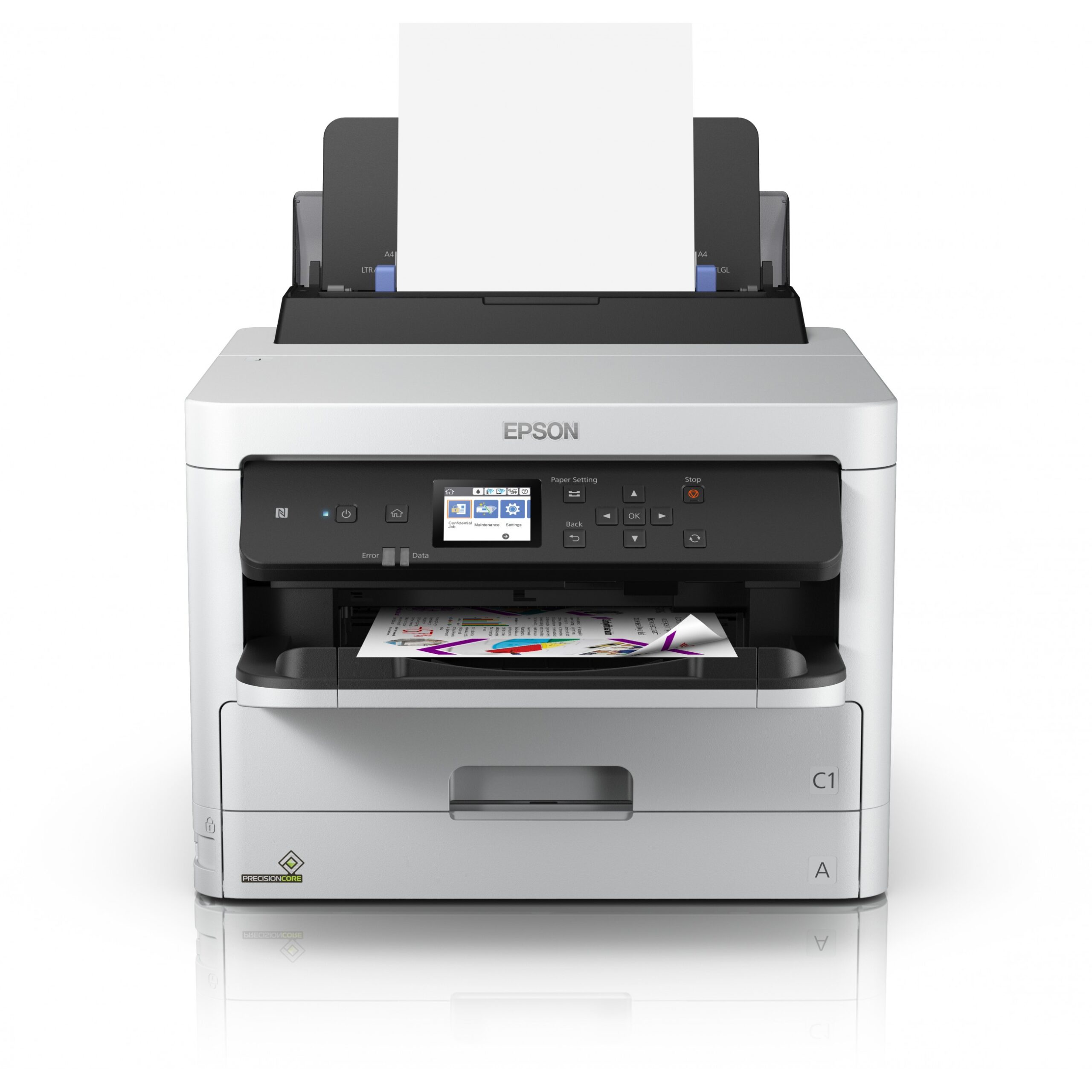 INK Epson 2LB / XXL – Verdhë - Figura 2