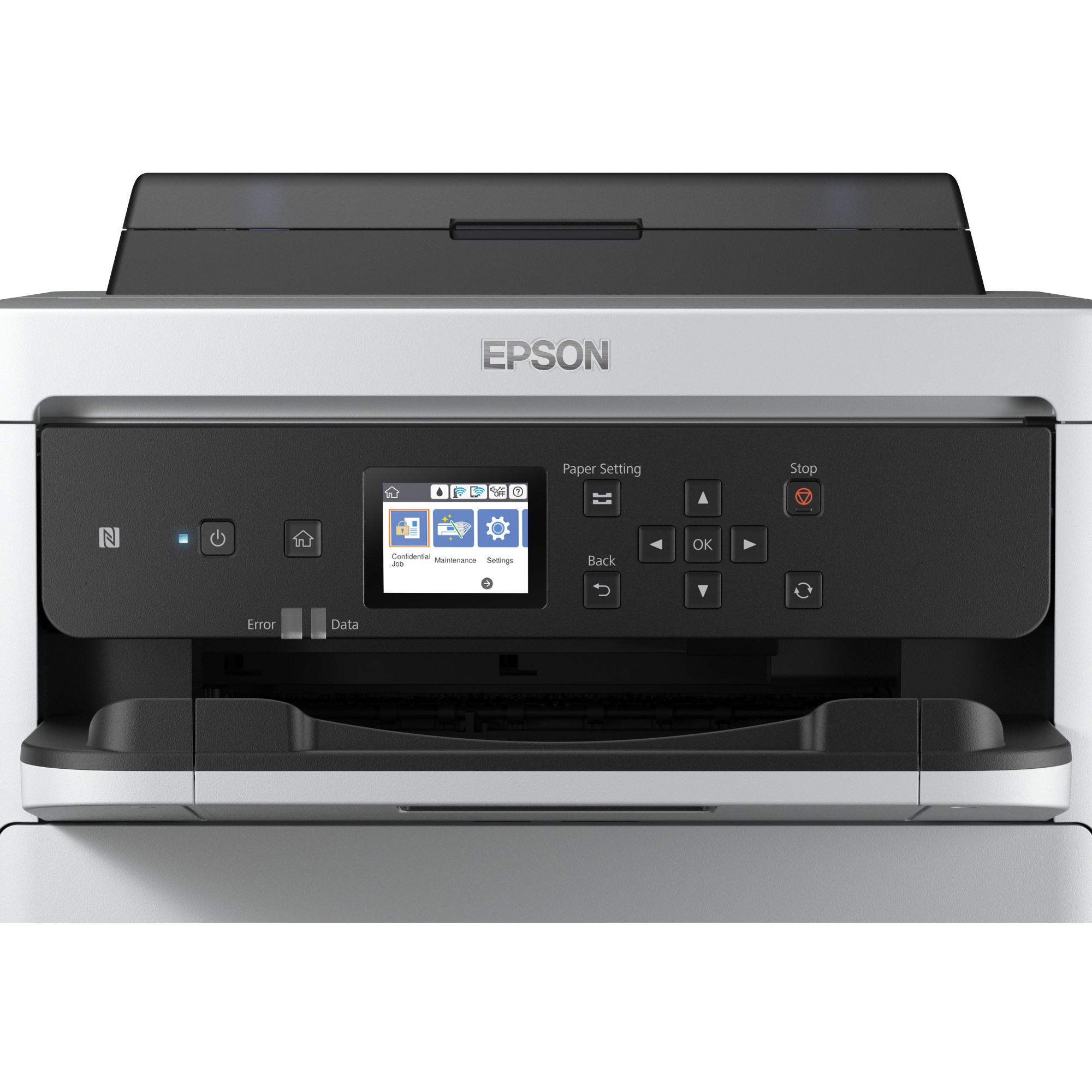 INK Epson 2LB / XXL – Verdhë - Figura 5