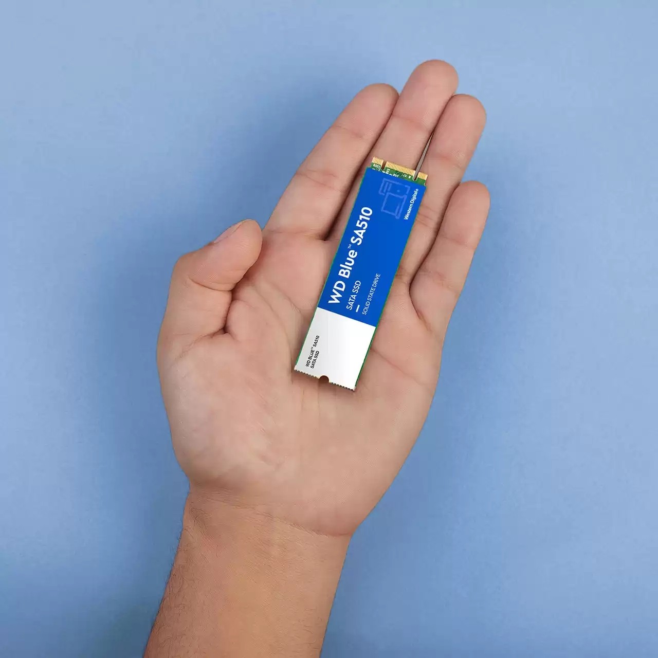 SSD e brendshme M.2 500GB WD Blue SA510 - Figura 5