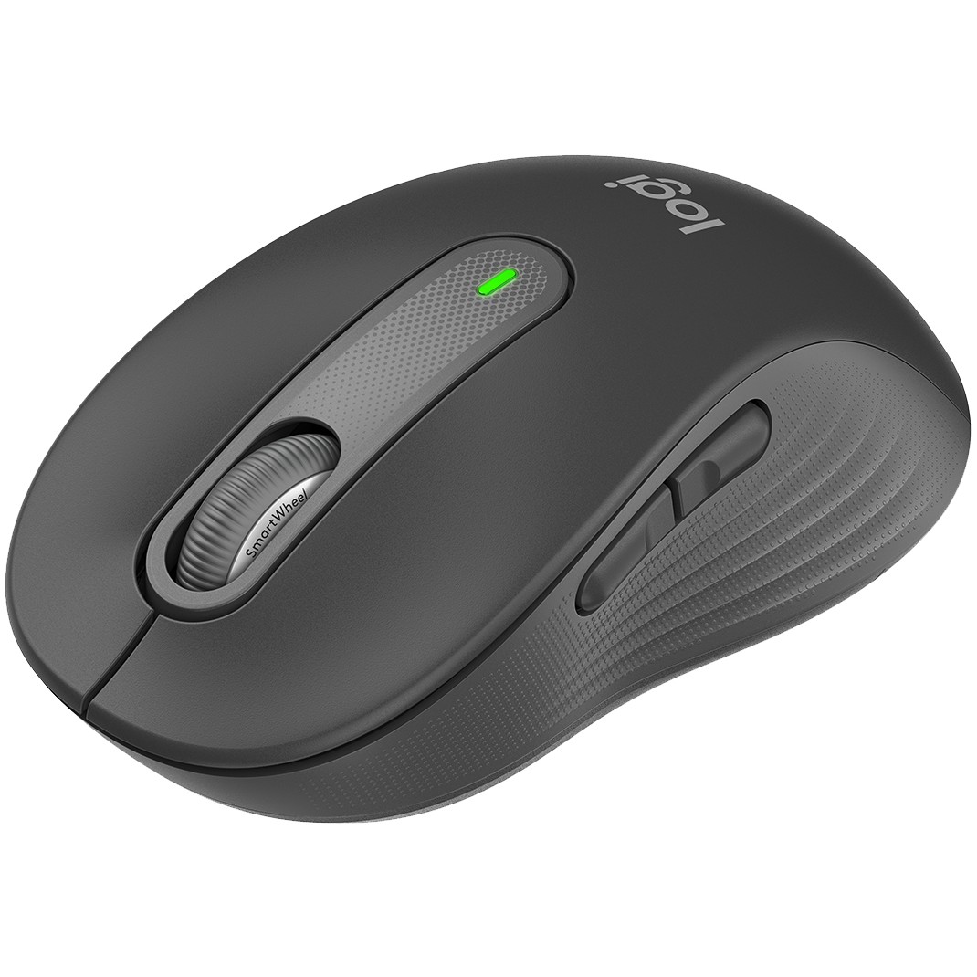 Maus Logitech M650 Graphite