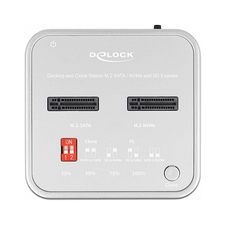 Docking Station DeLOCK SSD / USB 3.2 / 2 x M.2 NVMe - Figura 2