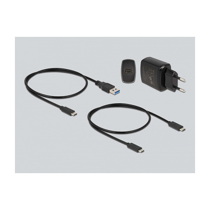 Docking Station DeLOCK SSD / USB 3.2 / 2 x M.2 NVMe - Figura 4