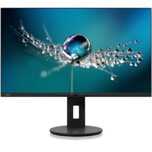 Monitor për punë Fujitsu B2711 TS / 27" / Quad HD IPS LED / 75 Hz / 5 ms / HDMI + DVI + DP + USB  / Zezë