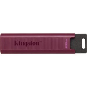 USB Flash Drive Kingston STICK 256GB USB 3.2 Kingston DataTraveler Zi