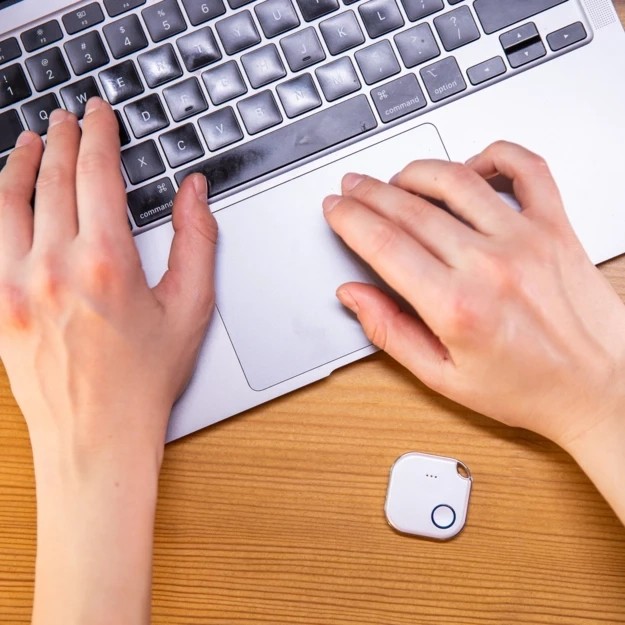 USB Flash Drive Shelly Plug & Play "Blu Button1" Bluetooth Schalter & Dimmer Bardhë - Figura 5