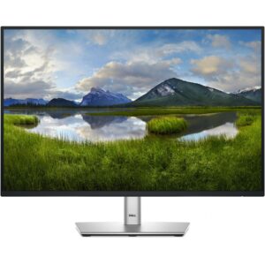 Monitor DELL 61cm/24" (1920x1200) Dell P2425E 16:10 FHD IPS 5ms 100Hz HDMI DP USB-C RJ45 Zi/silver