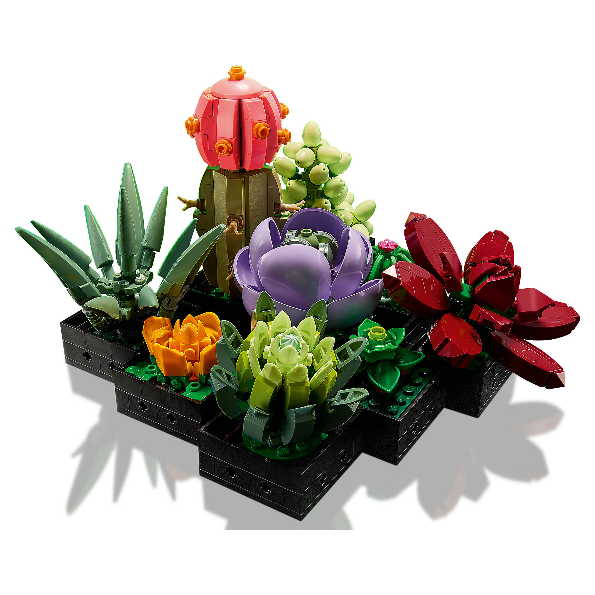 LEGO Icons Succulents 10309 - Figura 2