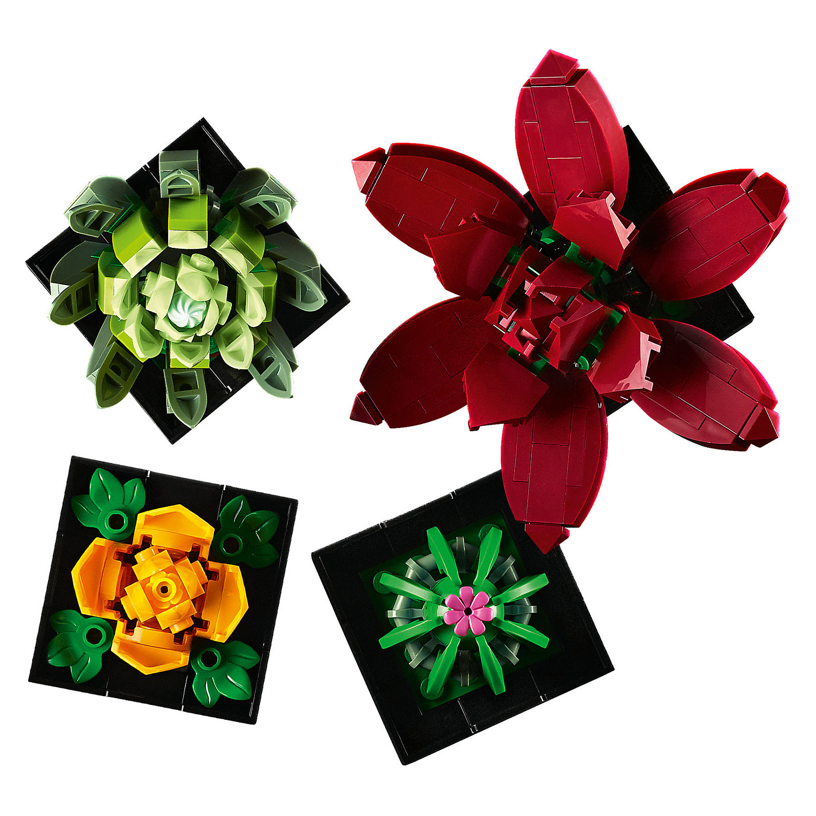 LEGO Icons Succulents 10309 - Figura 3