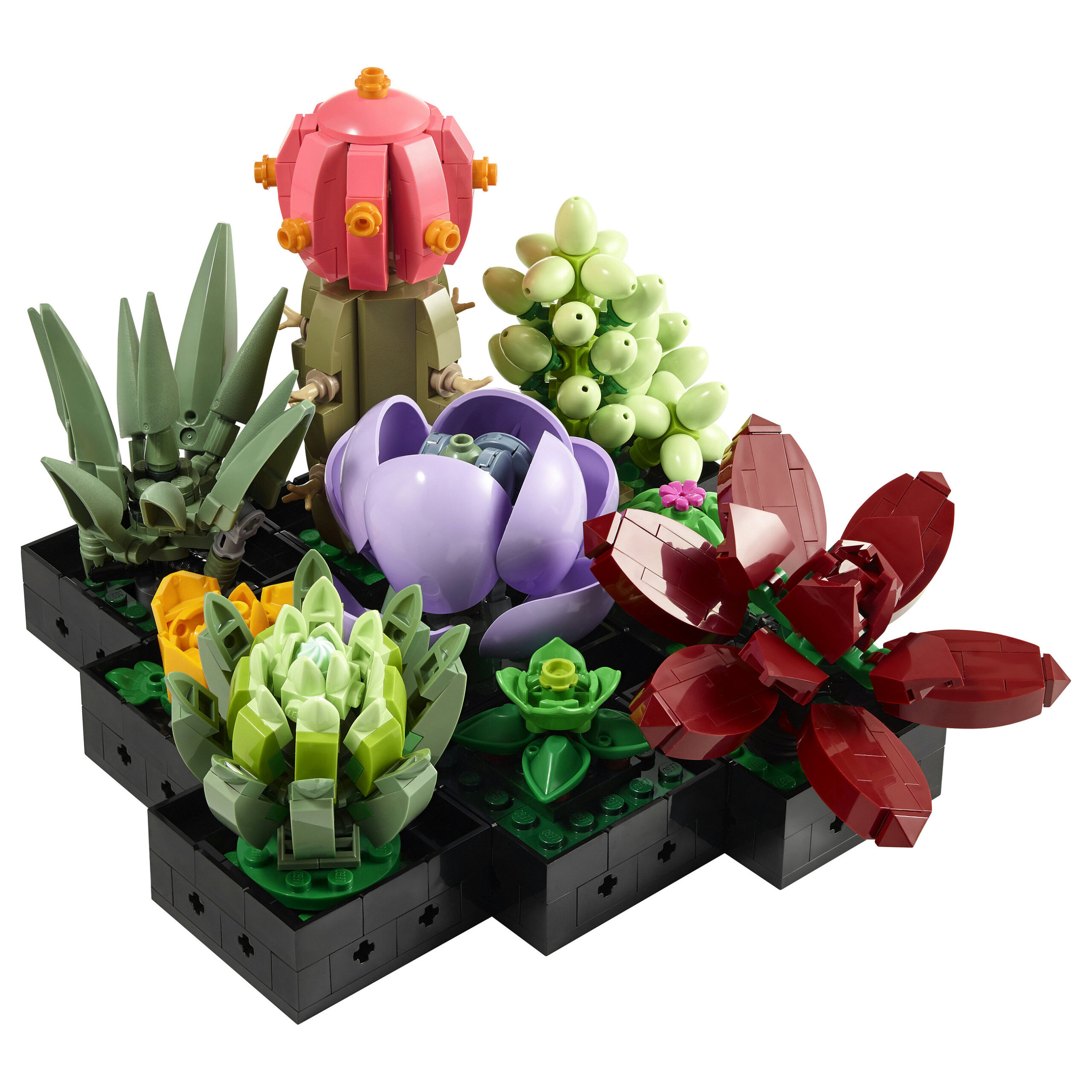LEGO Icons Succulents 10309 - Figura 4
