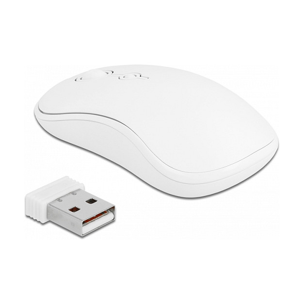 Combo (Tastierë & Maus) Delock / Wireless / QWERTZ / German Language - Bardhë - Figura 2