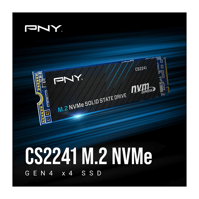 SSD të Brendshme CS2241 / 1TB / M.2 2280 / PCIe Gen4 / NVMe - Figura 2