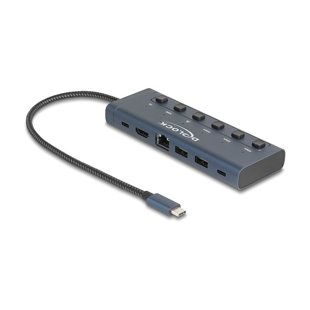 Docking Station DeLOCK / 4K / 1xHDMI / 2xUSB-A / 1xUSB-C / LAN / With Switch - Blu e Errët