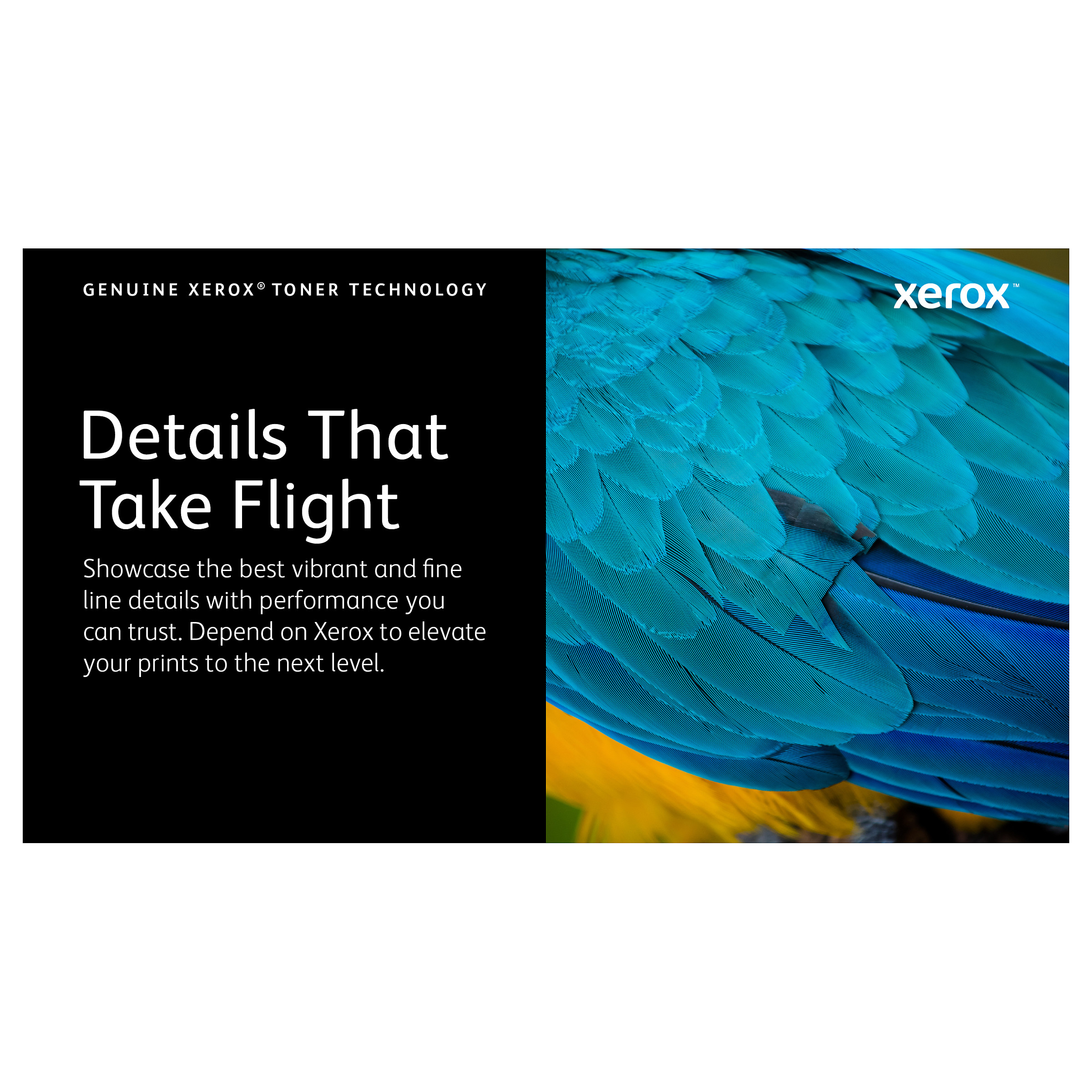 Toner Xerox 106R03757 - Zezë - Figura 3