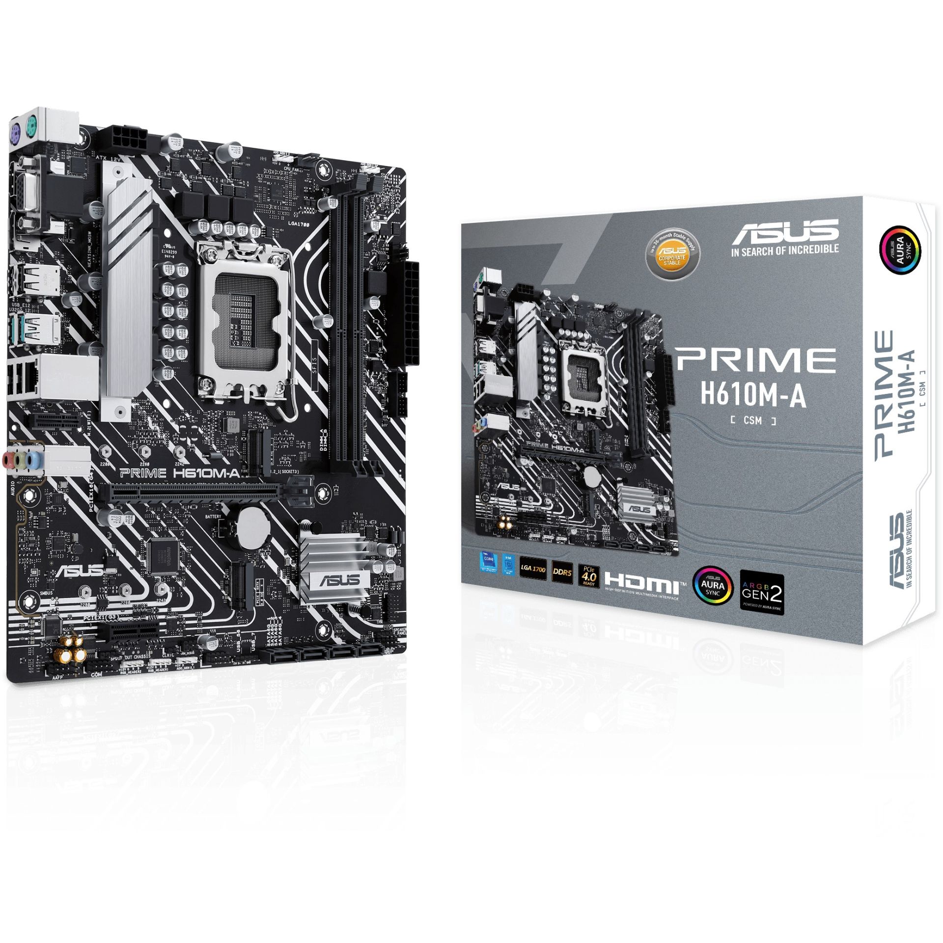 Pllakë Amë ASUS Intel PRIME H610M-A-CSM DDR5 mATX