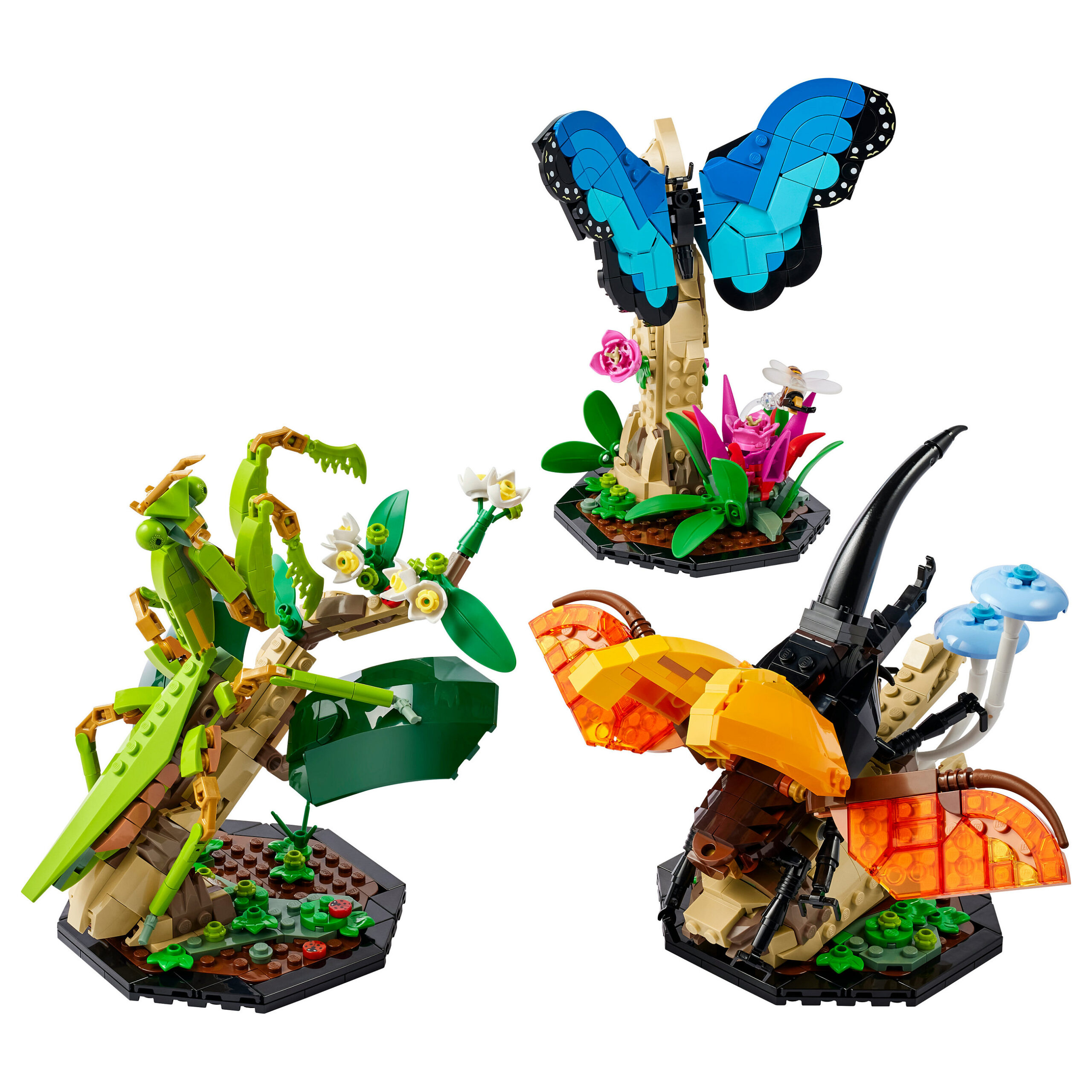 Lego Ideas The Insect Collection - Figura 2