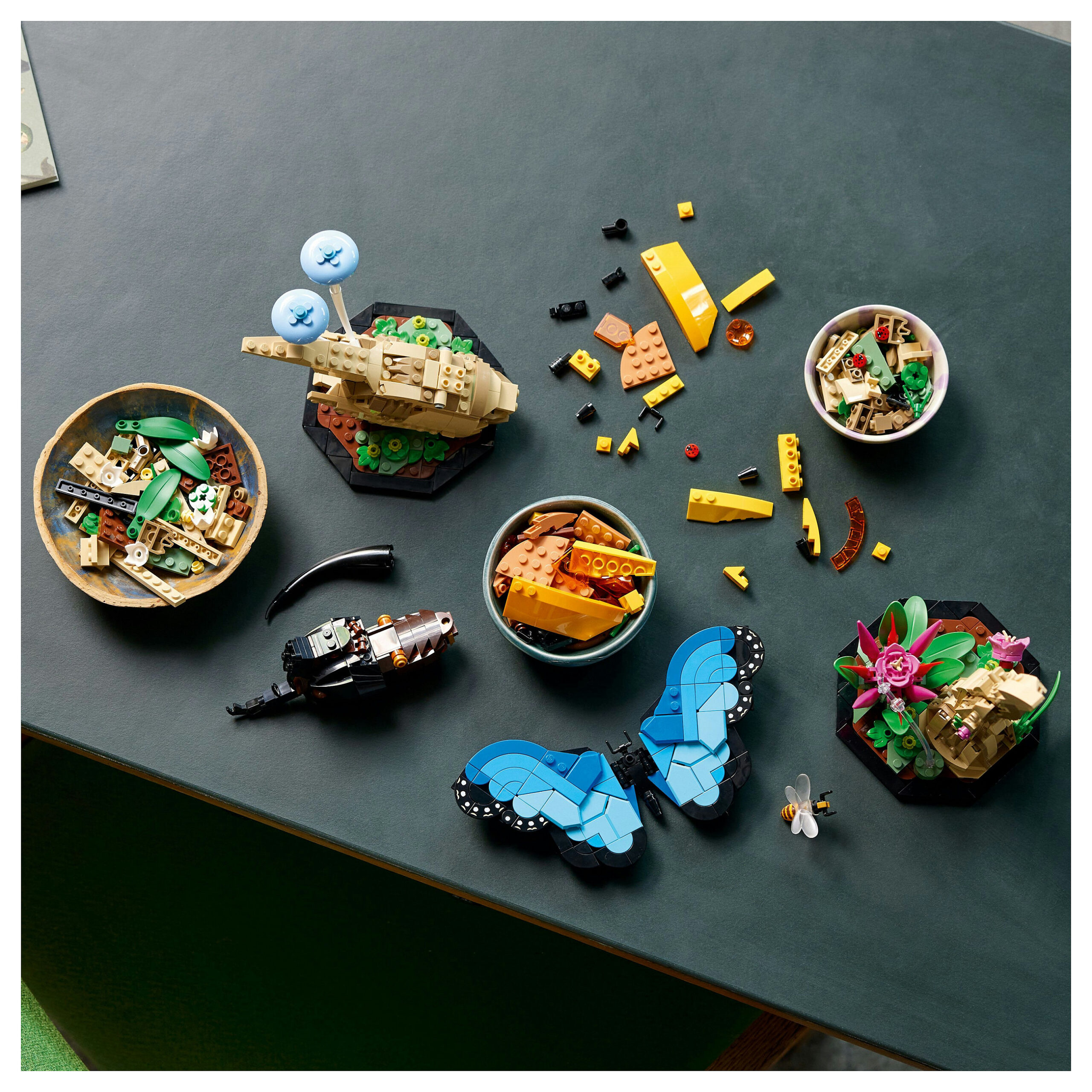 Lego Ideas The Insect Collection - Figura 4
