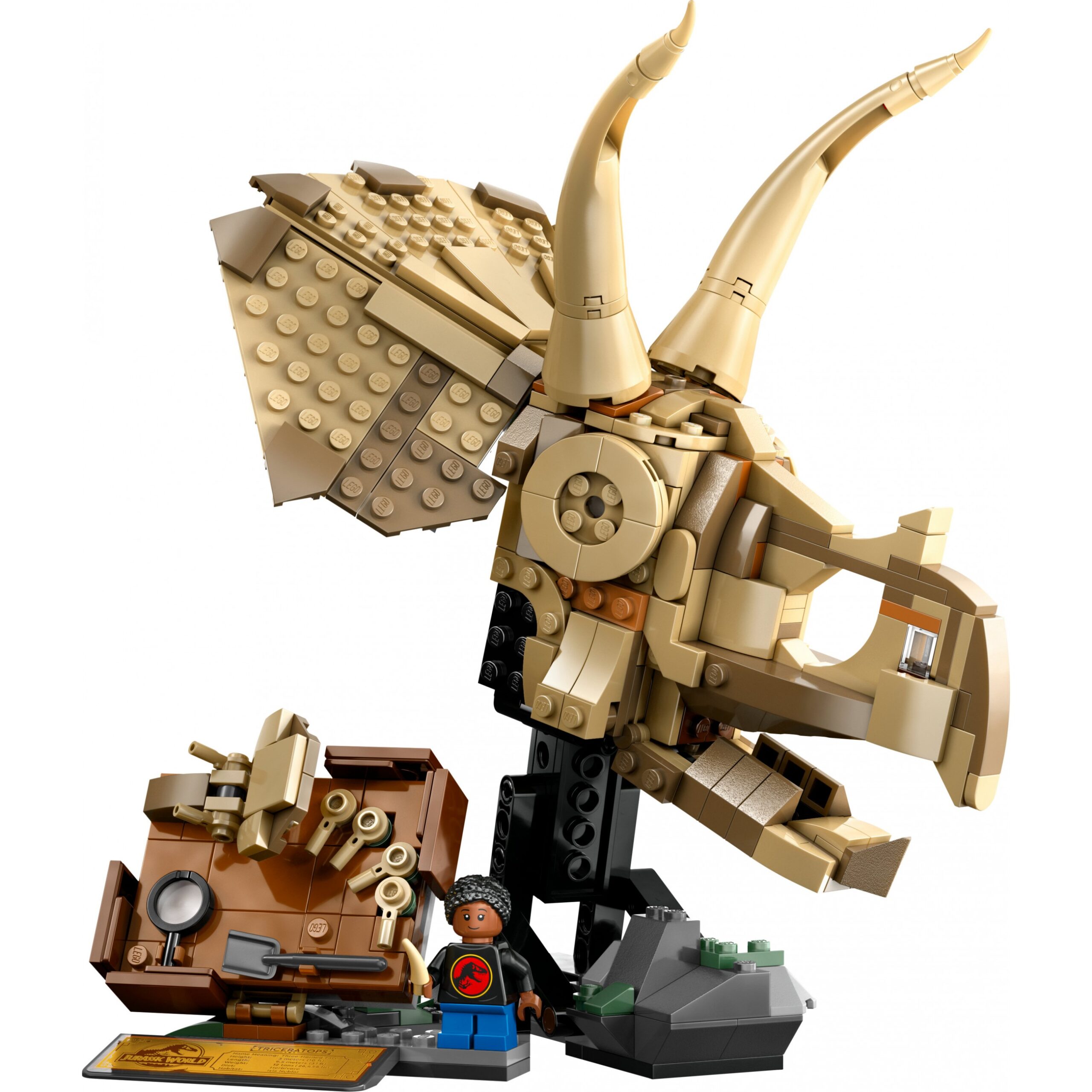 LEGO 76969 Jurassic World Dinosaurier-Fossilien: Triceratops - Figura 2
