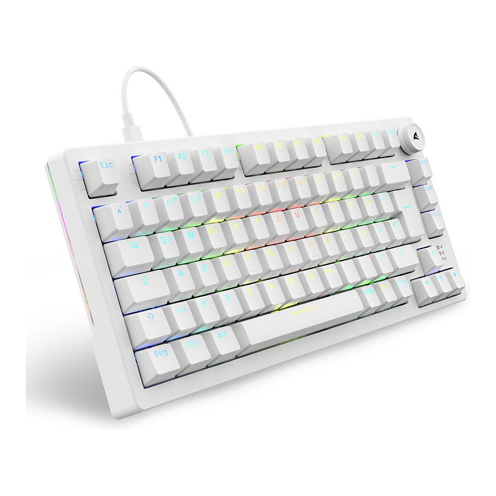 Tastierë Gaming Sharkoon Skiller SGK25 / Wired / QWERTZ / German Language - Bardhë