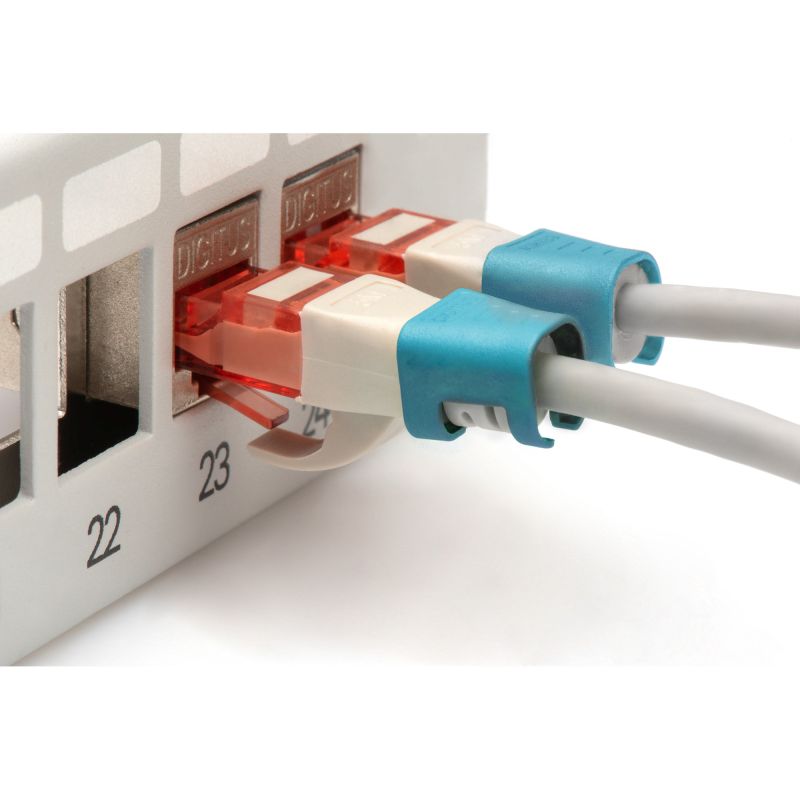 Aksesorë për rrjet DIGITUS Color Clips / Patch Cables / 100 pcs – Blu - Figura 3