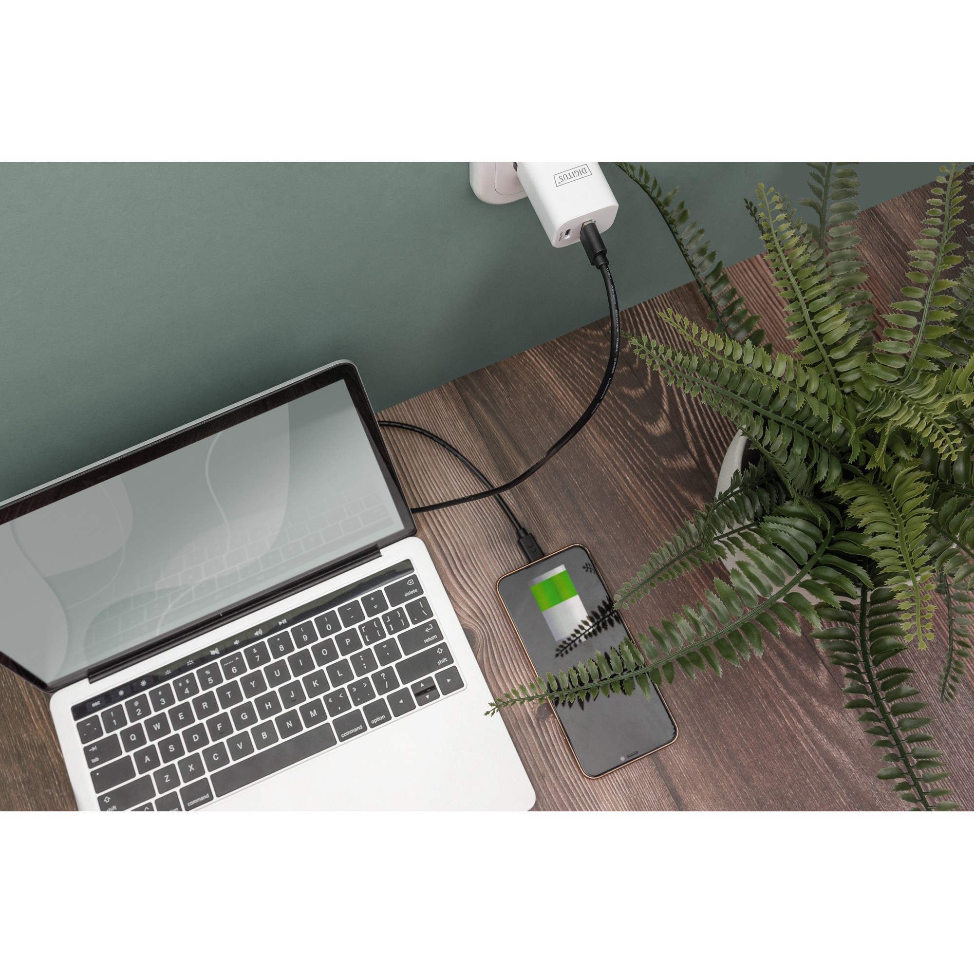 Kabllo USB DIGITUS USB 2.0 Connection Cable Type C–A M/M 3.0m - Zezë - Figura 3