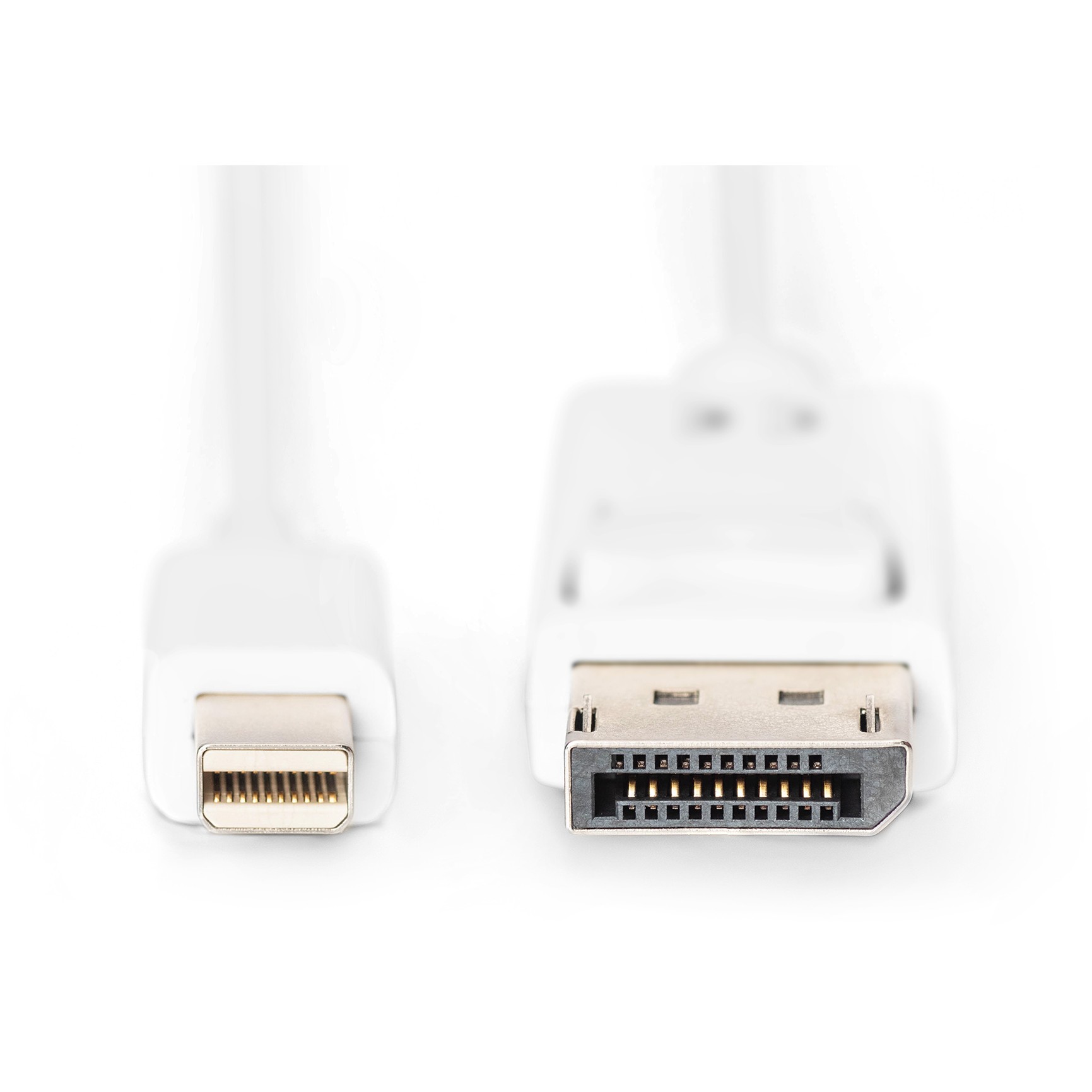 Kabllo DisplayPort DIGITUS Mini to DisplayPort Cable Male/Male 2m DP 1.1a / Polybag – Bardhë - Figura 2