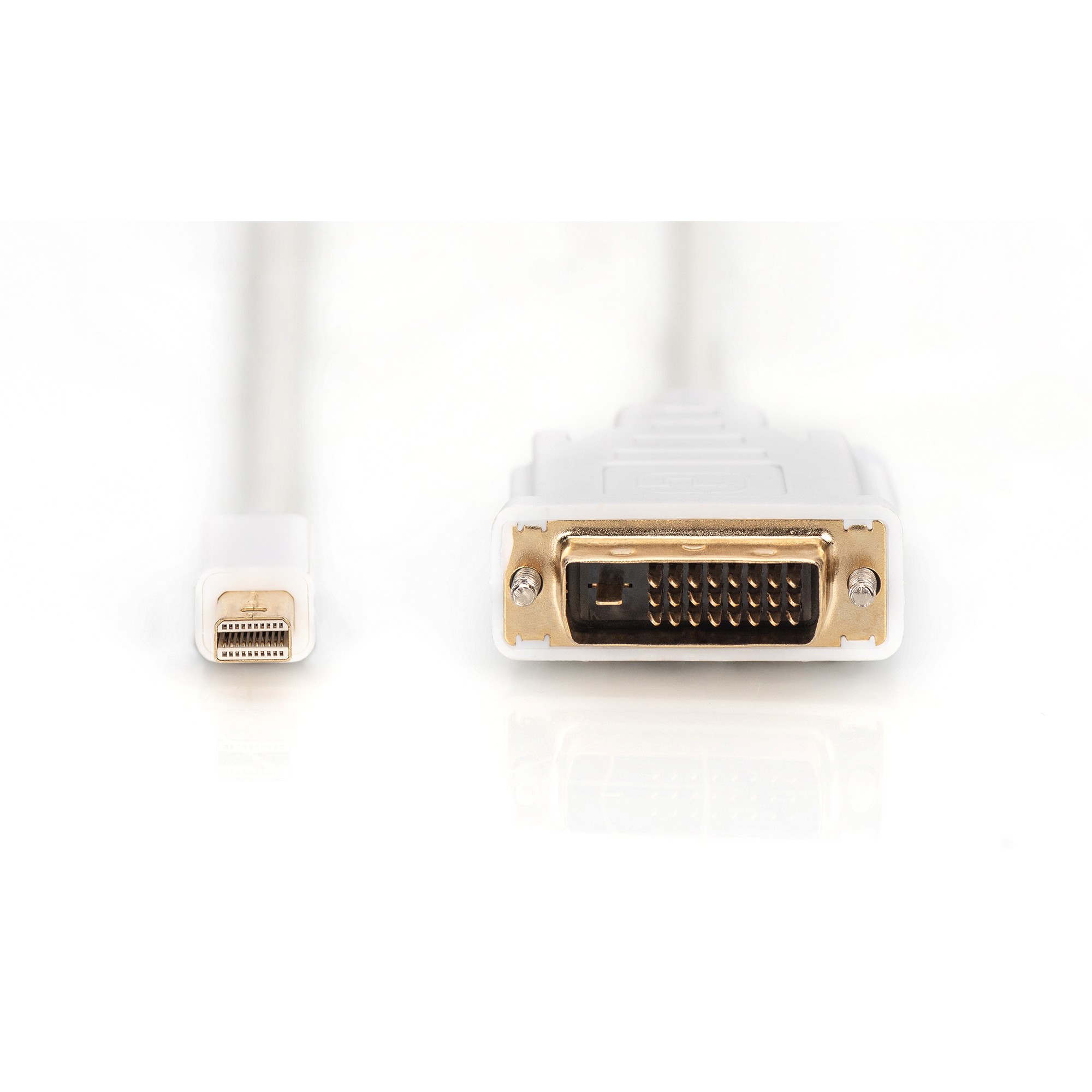 Kabllo DisplayPort DIGITUS Mini to DVI (24+1) Cable Male/Male 8K 2m DP 1.1 / Polybag - Figura 2