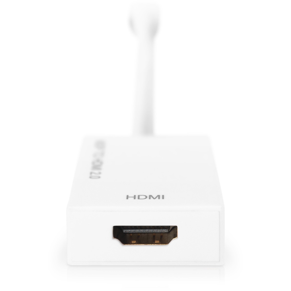 Kabllo DisplayPort DIGITUS Mini to HDMI Adapter Cable Male/Female Active 0.2m - Figura 4