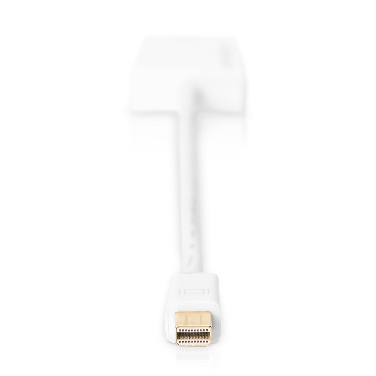 Kabllo DisplayPort DIGITUS Mini to HDMI Adapter Cable Male/Female Active 0.2m - Figura 5
