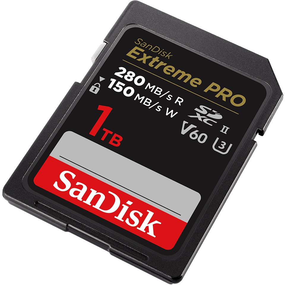 Kartë Memorie SD CARD PRO 1TB V60 UHS-II S - Figura 2