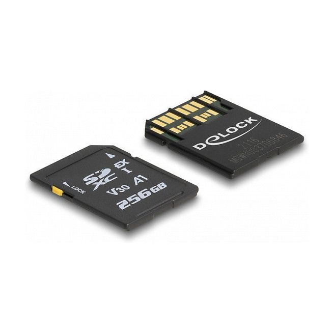 Kartë Memorie SD DELOCK Express 256GB – Zezë - Figura 2