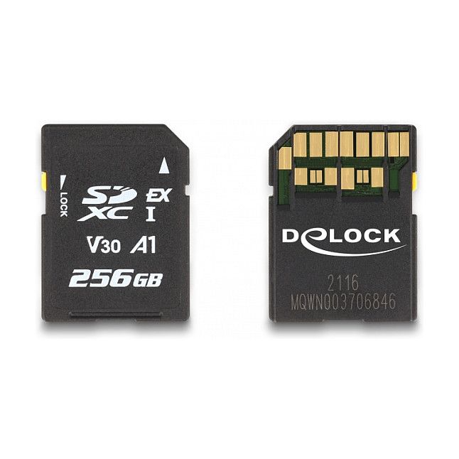 Kartë Memorie SD DELOCK Express 256GB – Zezë