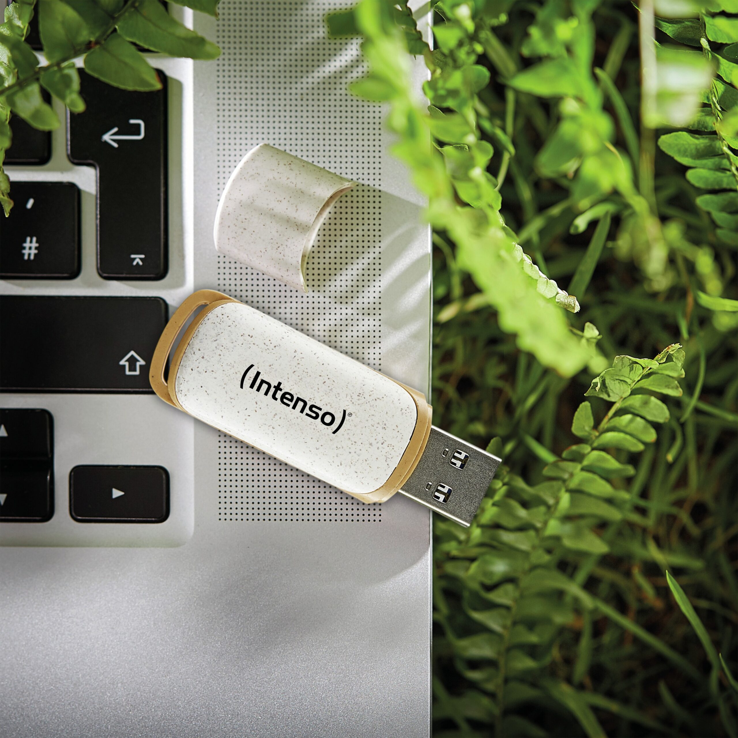 USB Flash Drive STICK Intenso Green Line 32 GB - Figura 5
