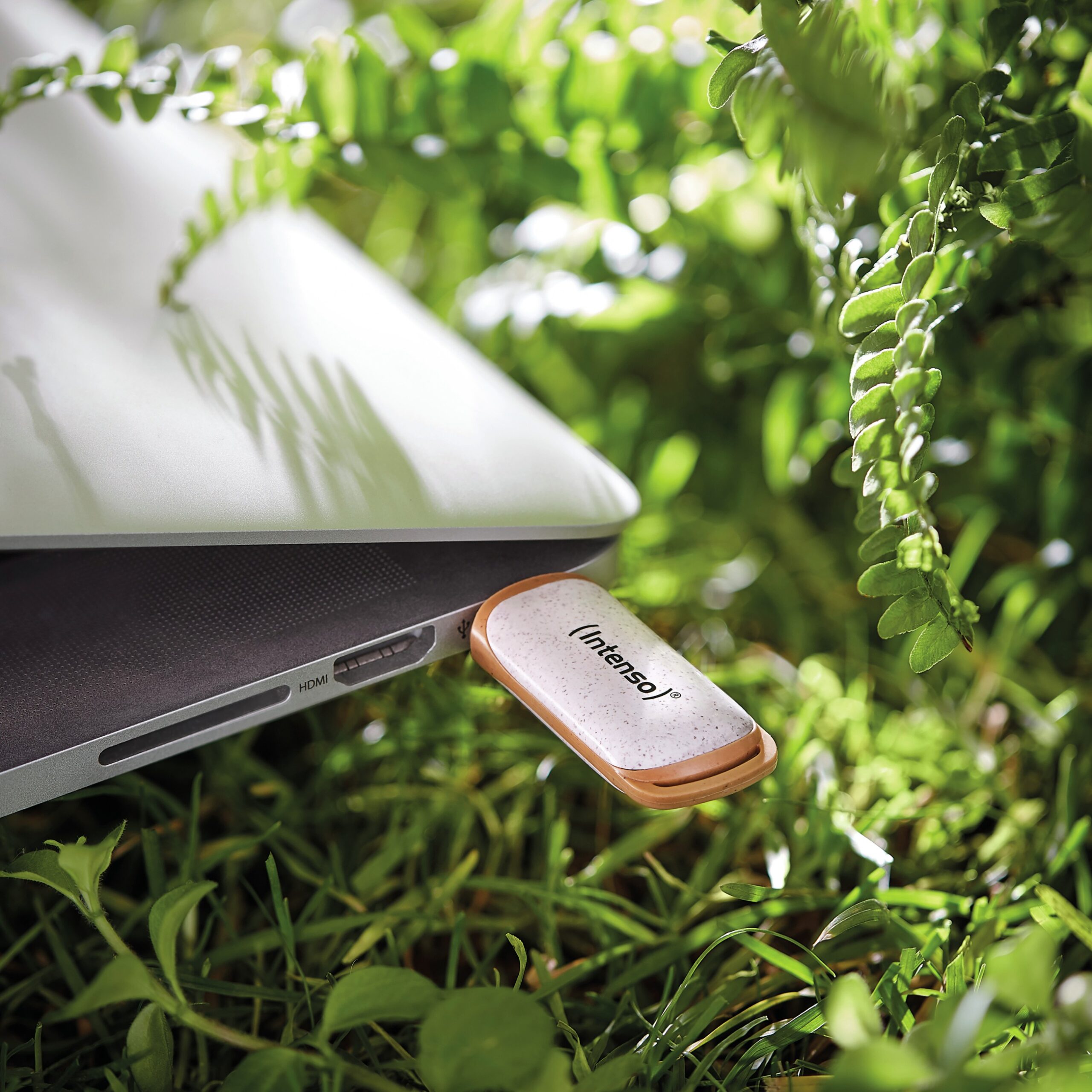 USB Flash Drive STICK Intenso Green Line 64 GB - Figura 3