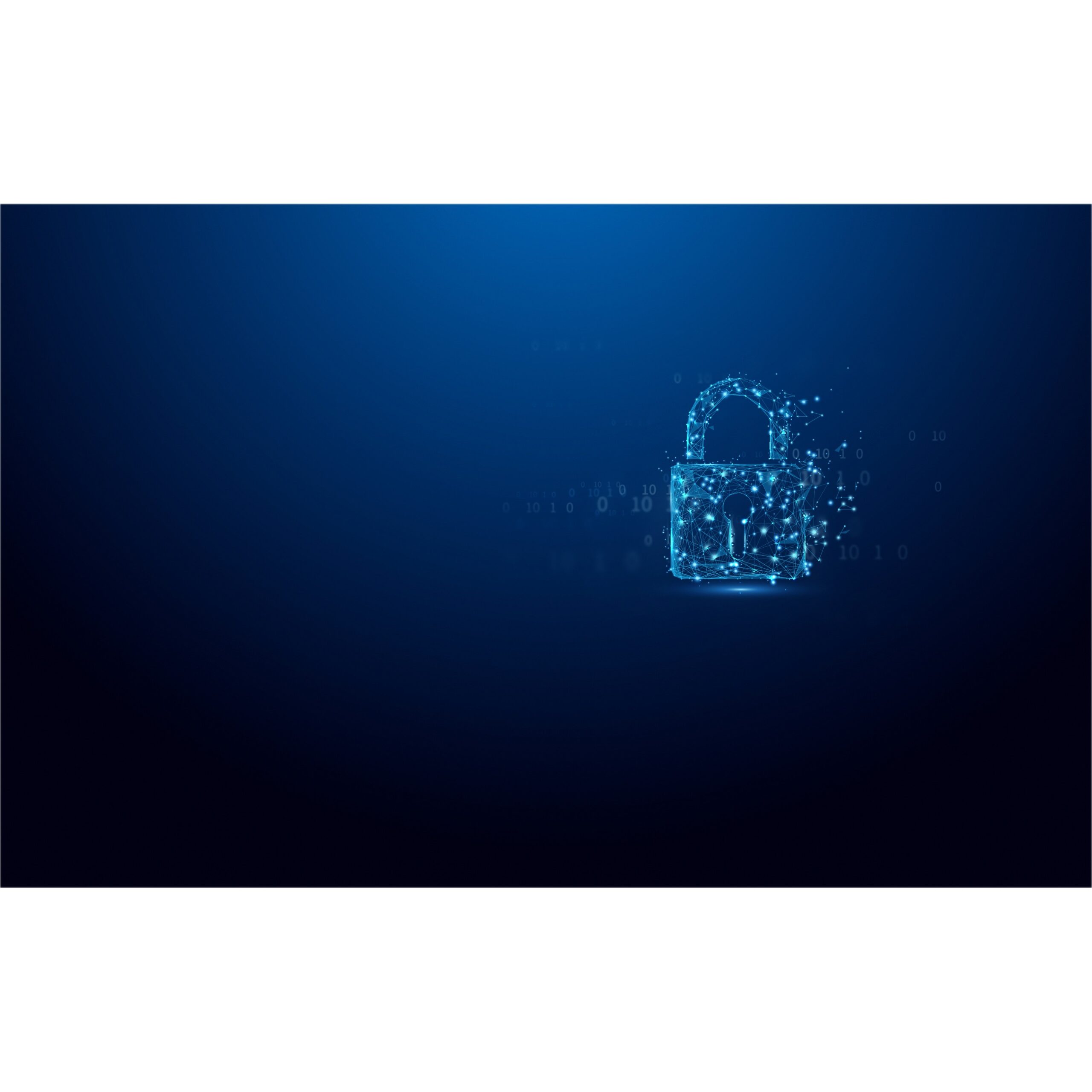 USB Flash Drive STICK Kingston 256GB IronKey Vault Privacy 50 - Blu - Figura 3