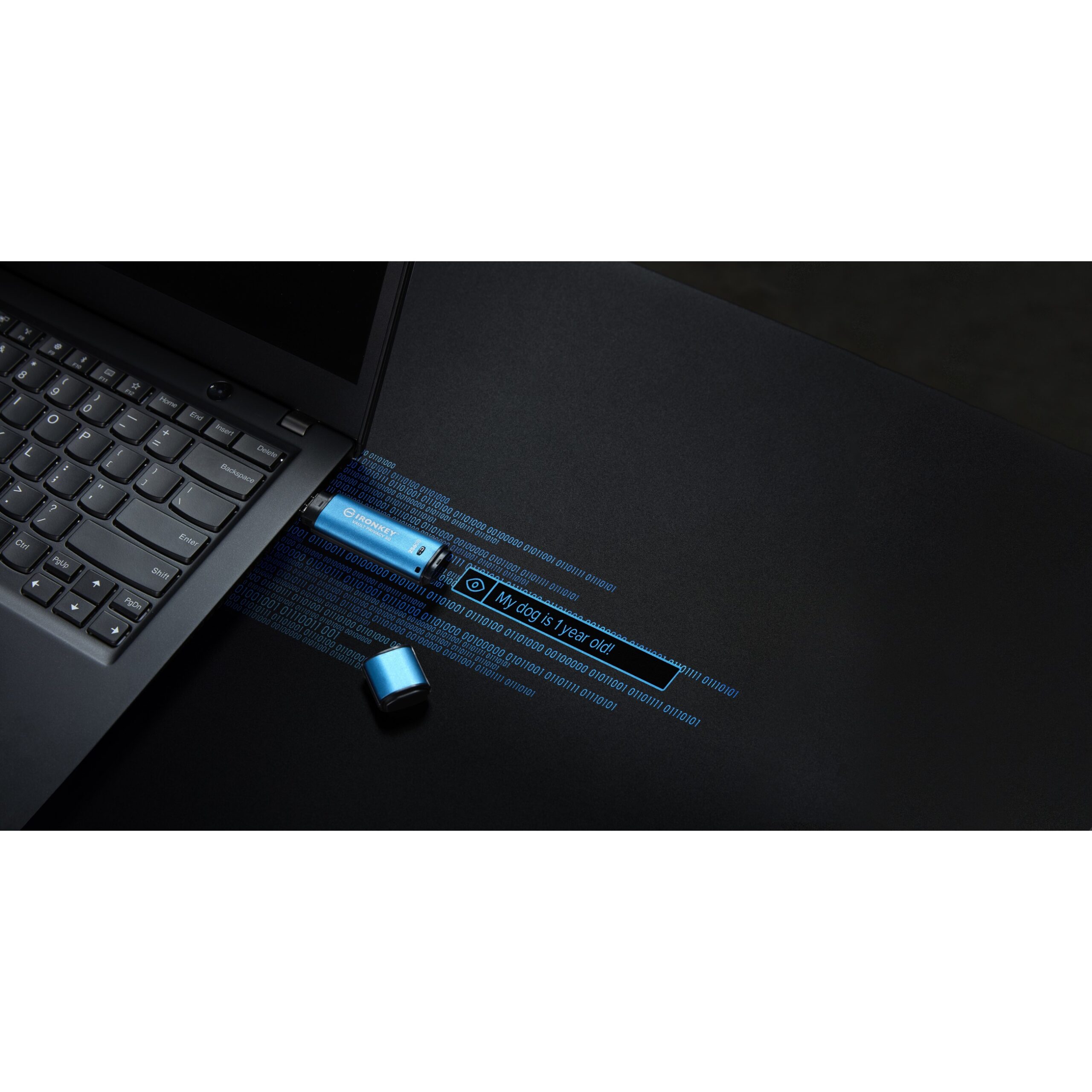 USB Flash Drive STICK Kingston 256GB IronKey Vault Privacy 50 - Blu - Figura 5