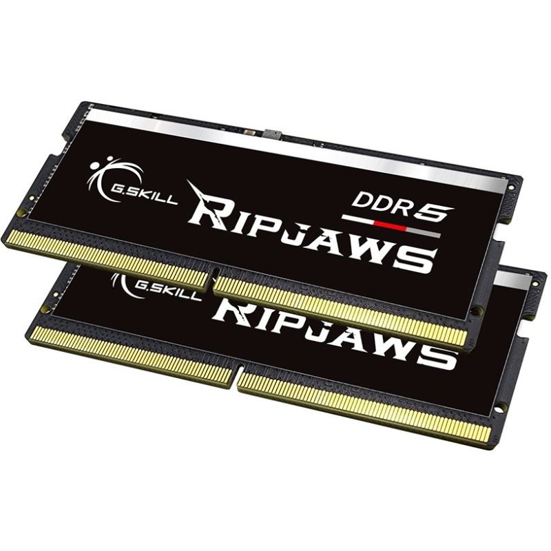 RAM Memorie DDR5 64GB(2x32GB) / 4800MHz / CL40 / G.Skill / 32GX2-RS / 1.2V - Figura 2
