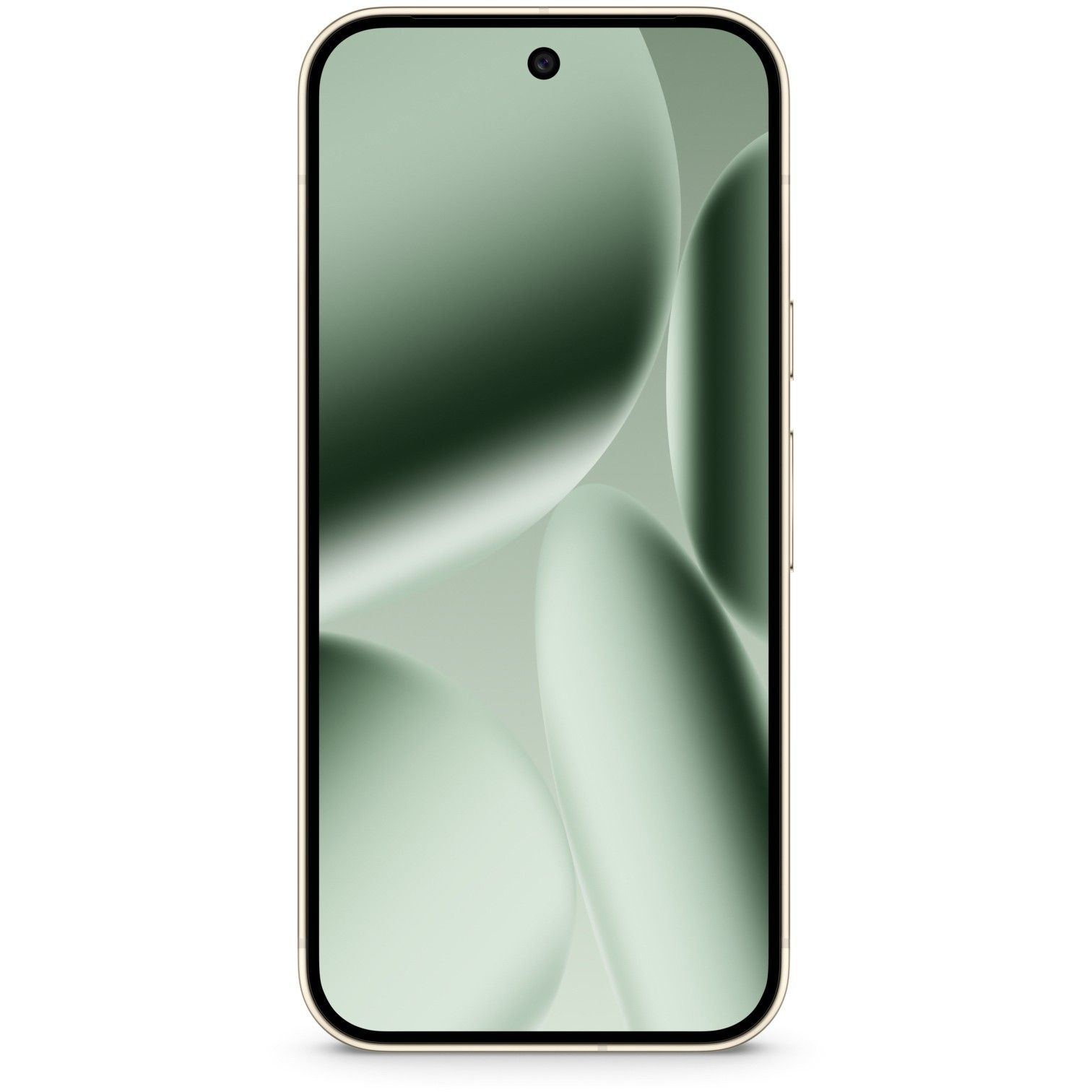 Google Pixel 10 Pro XL / 256GB – Gjelbër - Figura 5